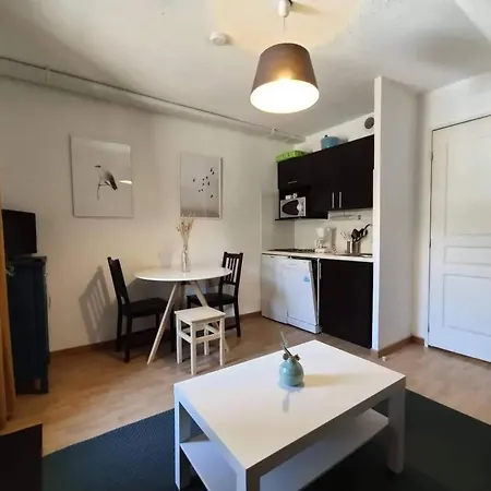 Apartment Studio Cosy A Et Saint Anastaise De 25 M² Avec Balcon