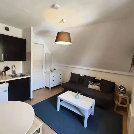 Apartment Studio Cosy A Et Saint Anastaise De 25 M² Avec Balcon *
